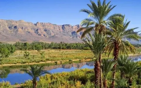 Valle con palmeras, río y montañas del Atlas