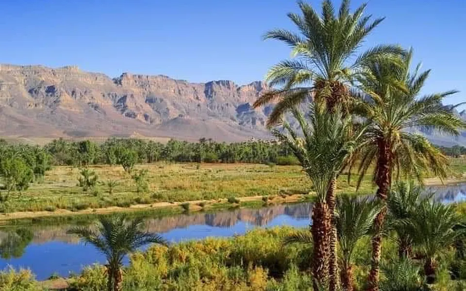 Valle con palmeras, río y montañas del Atlas