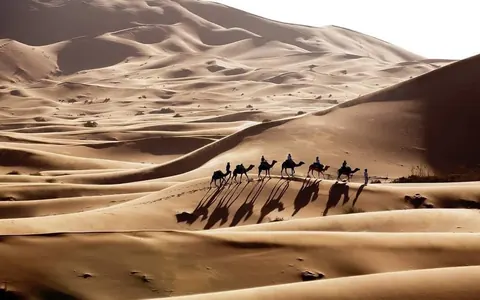 Caravana de dromedarios cruzando las dunas del desierto