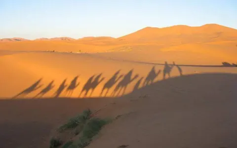 Sombras de una caravana de dromedarios sobre las dunas al atardecer